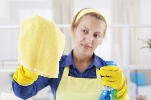 Detailed residential move-in cleaning for a Hounslow home