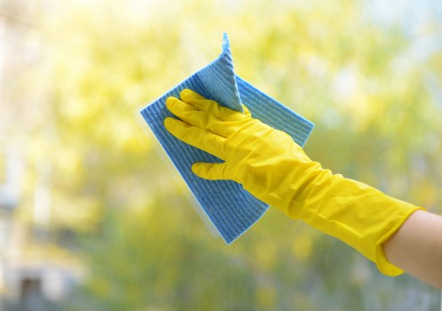 Professional pet stain odour removal for a Hounslow carpeted home interior