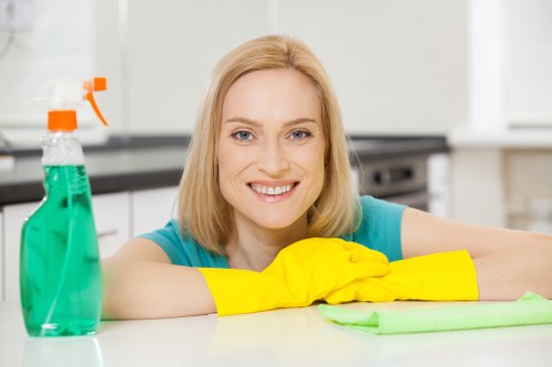 Deep cleaning for a kitchen in Hounslow