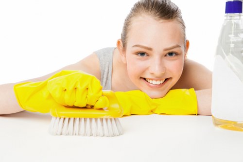 Carpet cleaning process in progress with specialist tools
