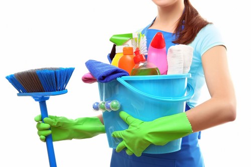 Regular cleaning service for homes and flats in Hounslow