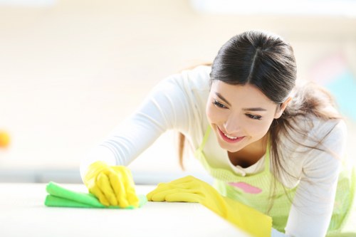 Local carpet cleaning equipment used in a Hounslow property