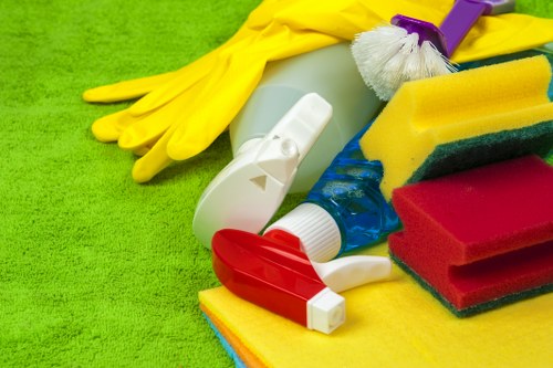 Illustration of SSL-encrypted payment protection for carpet cleaning services