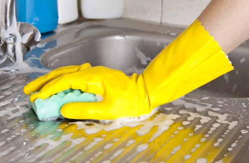 Local pet stain and odour treatment for residential and commercial properties in Hounslow