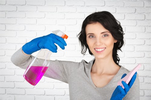 Professional domestic cleaning in a Hounslow property