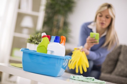 Reliable domestic cleaning in Hounslow for regular and one-off visits